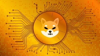 Shiba coin yorum