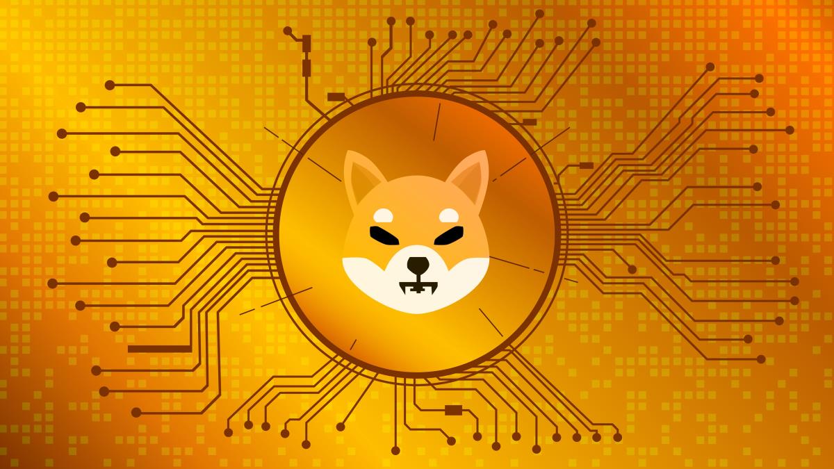 Shiba coin yorum