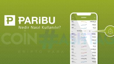 Paribu Coin