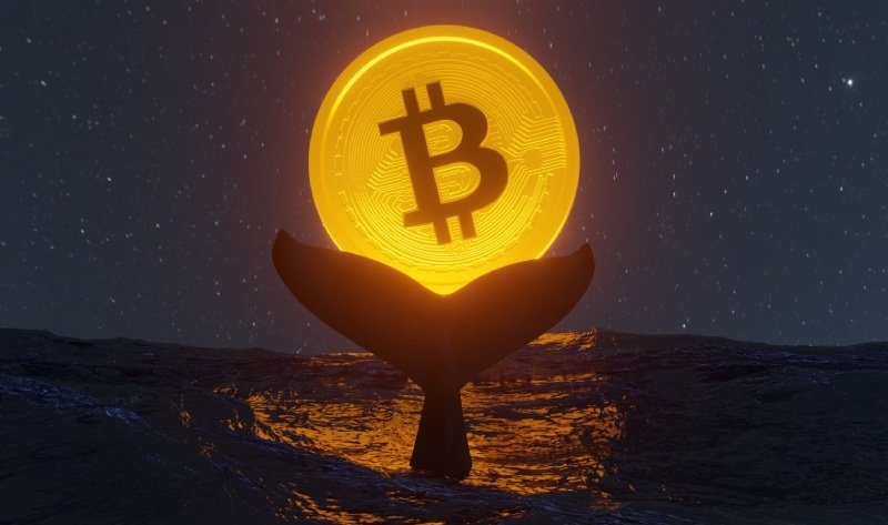 Bitcoin ve kripto paralarda bu hafta takip edilecek önemli gelişmeler