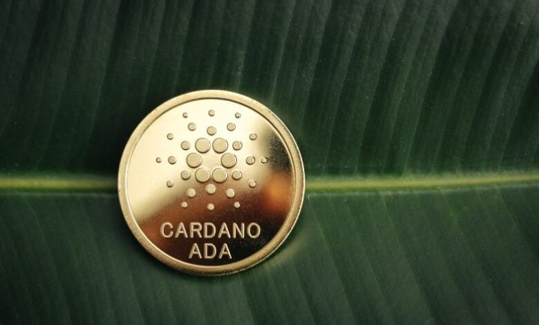 Cardano (ADA) geliştiricileri blok boyutunu yüzde 10 büyüttü
