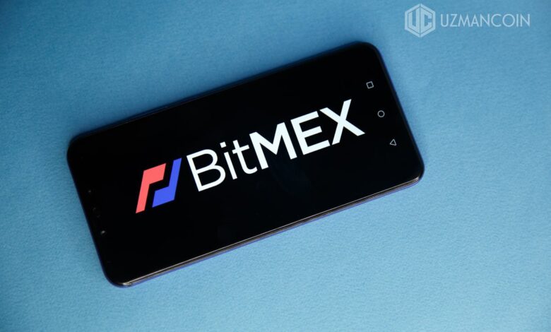 BitMEX, kripto para yatırımcı içgörü raporunu yayınladı!