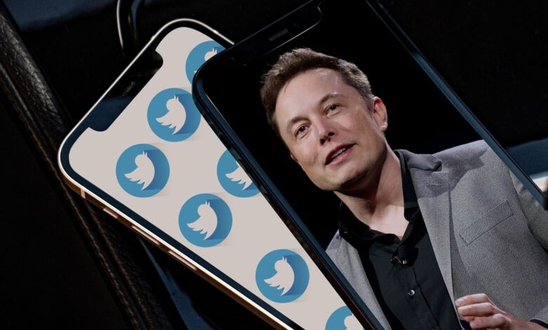 Elon Musk daha fazla veri istedi, Twitter kabul etti