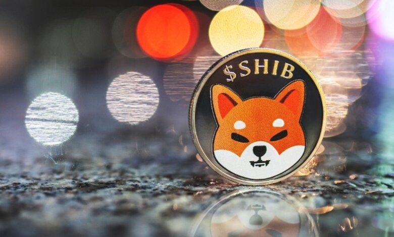 Bir sabit coin de Shiba Inu'dan: SHI geliyor