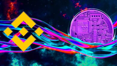 Binance'e Bu Altcoin Projesinden Yüzmilyonlarca Boşaltıldı!