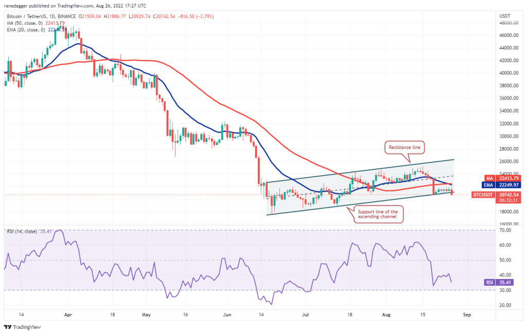 BTC fiyatı