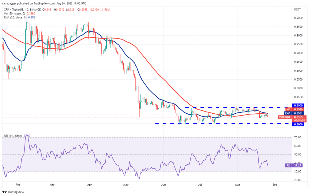 XRP fiyatı