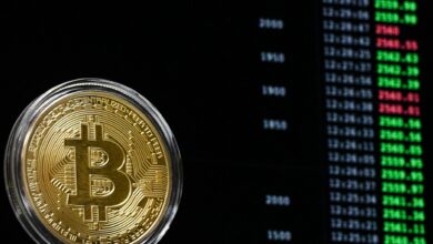 2021'de Bitcoin (BTC)'e 100 Dolar Yatırsaydınız Ne Olurdu?