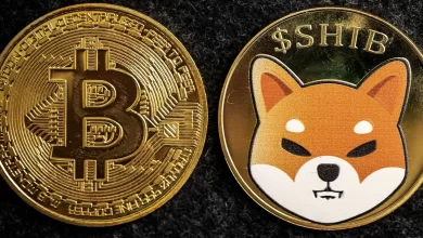 4 Analistten SHIB ve Bitcoin Tahminleri: Bu Seviyeler Yakın!