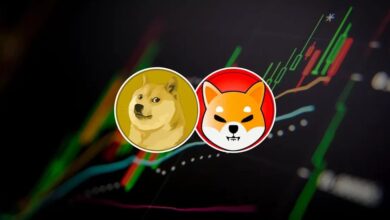 Dogecoin ve SHIB Yükselişi Sürecek Mi? Bu Tahminlere Dikkat!