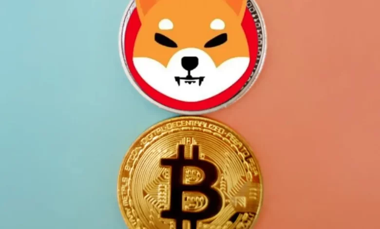 Shiba Inu ve Bitcoin: Haftaya Bu Seviyeler Görülebilir!