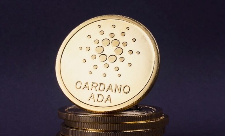 Cardano'da NFT proje sayısında önemli artış: 7 bine ulaştı