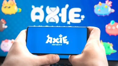 Axie Infinity yaratıcısı Sky Mavis Google anlaşmasını açıkladı