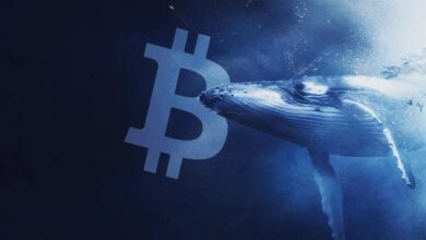 Bitcoin Balinaları Bu Seviyelerde Bekliyor: İşte Sıradaki!