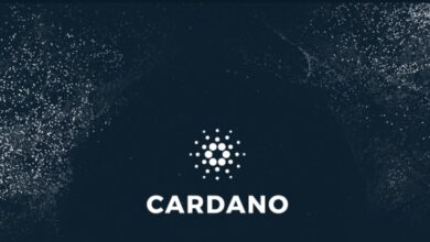 Cardano, NFT Pazarını Duyurdu!