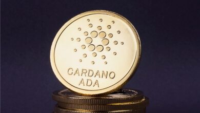 Cardano'da NFT proje sayısında önemli artış: 7 bine ulaştı