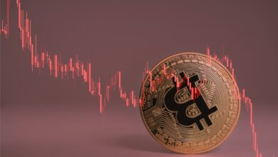 ‘Short Bitcoin’ fonlarına rekor giriş: CoinShares raporu