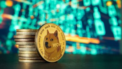 Dogecoin ve Shiba Inu neden yükseliyor?