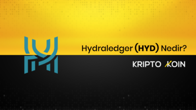 Hydraledger Nedir? HYD Ne İşe Yarar?