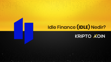 Idle Nedir? IDLE Ne İşe Yarar?