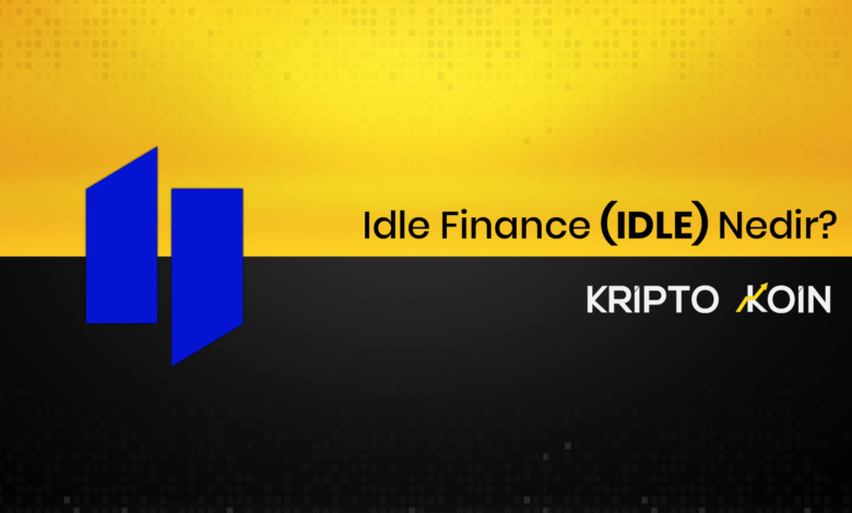 Idle Nedir? IDLE Ne İşe Yarar?