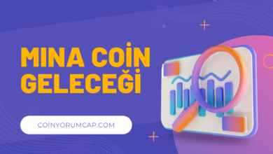 MINA Coin Yorum