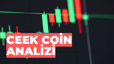 CEEK Coin Analizi