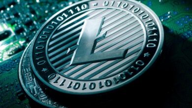 Litecoin (LTC) neden yükseliyor? Bir günde 1 milyar dolar giriş