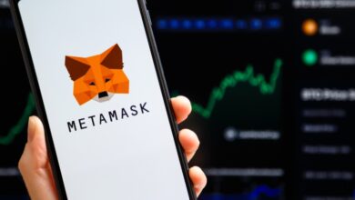 Metamask’ten “Fazla veri topluyor” eleştirilerine cevap: Değişen bir şey yok