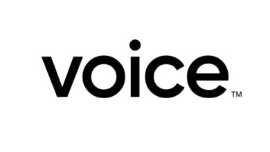 Voice Marketplace, PhotoVogue Festivaline NFT'leri Getirecek!