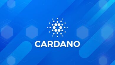 Cardano, NFT Hırsızlığına Karşı Mücadeleye Öncülük Ediyor!