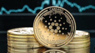 Cardano topluluğu son gelişmelere tepki verdi! İşte fiyat durumu