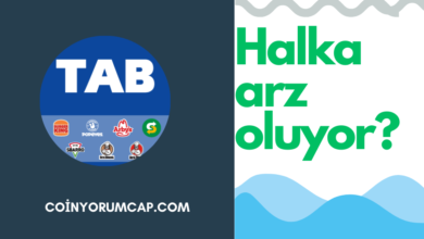 TAB Gıda ne zaman halka arz? Halka arz olan hisse kaç tavan yapar? TAB Gıda Sanayi ve Ticaret A Ş kimin? işte detaylar...