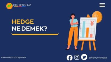 Hedge ne demek? Hedge fonları nasıl çalışır?