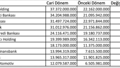 Yılın en çok kar eden şirketleri ! - Para Ajansı