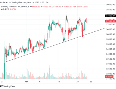 Altcoins take a breather as Bitcoin stalls at resistance