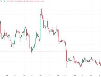 Is It Time to Bet Big on Litecoin and Polygon (MATIC)?