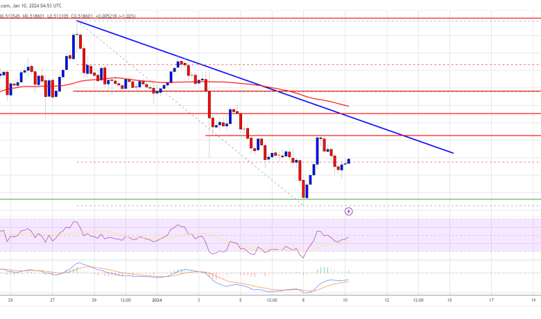 Cardano (ADA)