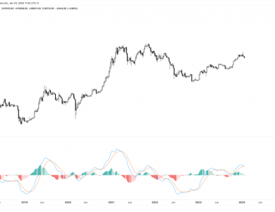 bitcoin momentum