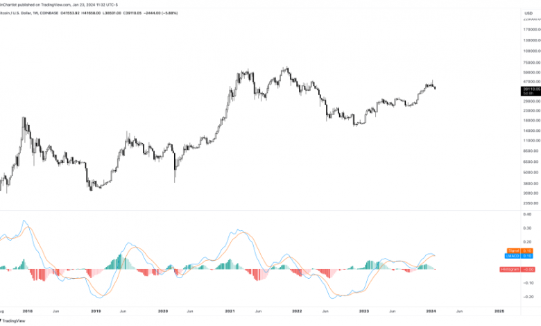 bitcoin momentum