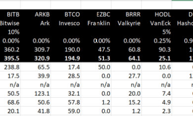 Bitcoin spot ETF