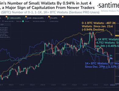 Bitcoin Supply Distribution