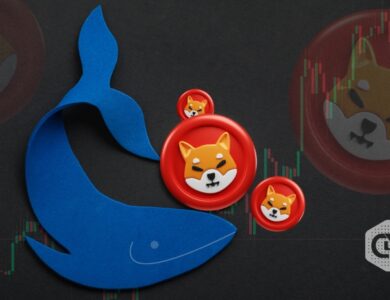 Whale activities on Shiba Inu surge by more than 1,000%