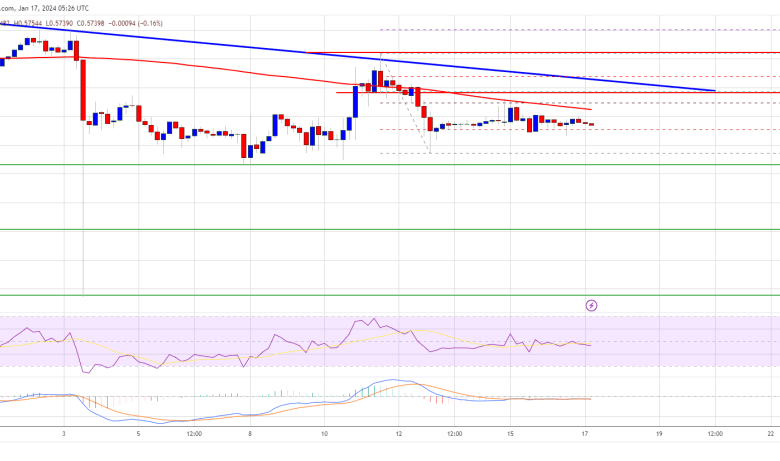 Ripple (XRP)