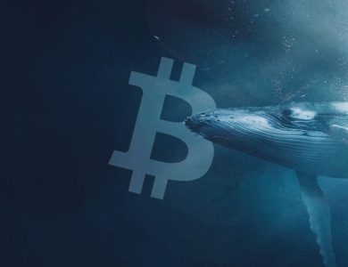 Bitcoin Whales