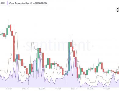 Dogecoin Volume And Whale Activity