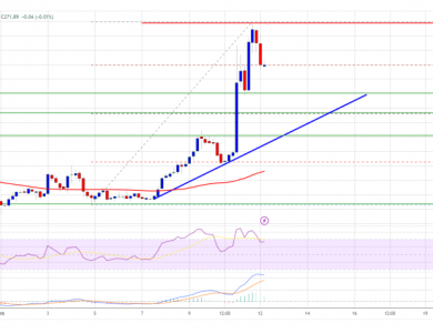 Bitcoin Cash Price