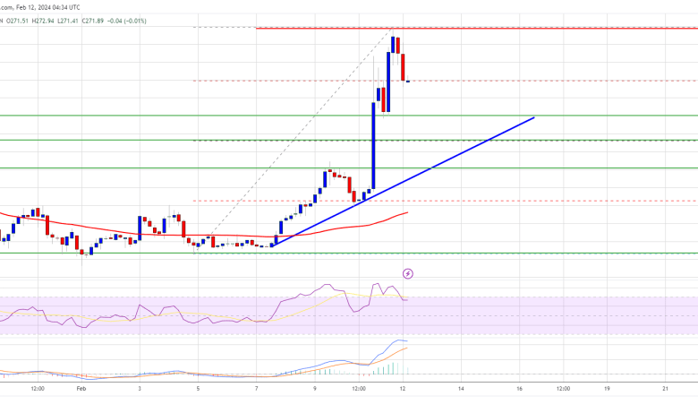 Bitcoin Cash Price