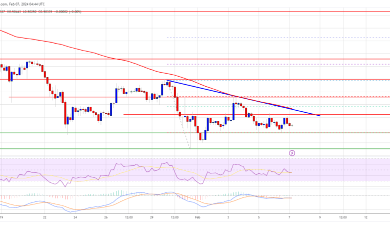 Ripple (XRP)