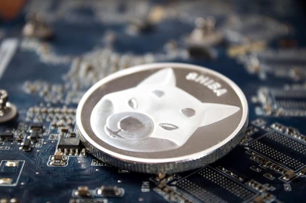 Shiba Inu's Surge - Profit Breakdown für Investoren - Der Buzz um diesen AI Altcoin